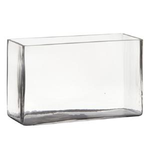 Hakbijl Glass Vaas - transparant - rechthoek - glas - 25 x 10 x 15 cm - Bloemstukje/terrarium vaas