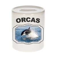Dieren liefhebber orka spaarpot - orka vissen cadeau - thumbnail