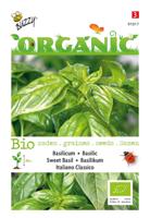 Zaden Organic Basilicum - Italiano Classico (BIO) Buzzy - Buzzy
