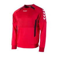 Hummel Authentic round neck voetbalsweater jr - thumbnail