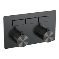 BRAUER gunmetal Carving - 3 functies - inbouwthermostaat - drukknoppen - in/afbouwdelen - gunmetal geborsteld PVD 5-GM-158