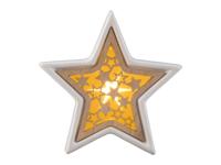 LIVARNO home LED-kerstdecoratie (Ster)