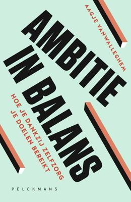 Ambitie in balans (Paperback)