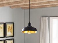 Hanglamp RYDER 1 lamp zwart - thumbnail