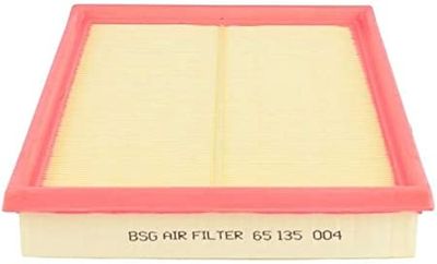 Luchtfilter BSG65135004