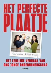 Het perfecte plaatje (Paperback)