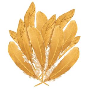 Hobby/knutsel Ganzenveer/sierveer - 50x stuks - goud - 18-22 cm - decoratie