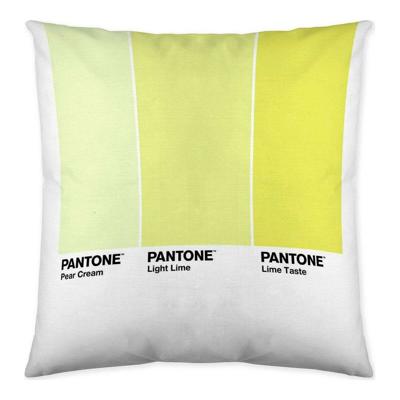 Kussenhoes Ombre C Pantone Localization_B086JQZYZH Omkeerbaar 50 x 50 cm