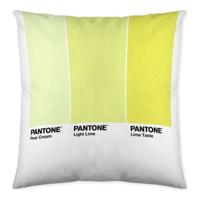 Kussenhoes Ombre C Pantone Localization_B086JQZYZH Omkeerbaar 50 x 50 cm