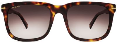 Polar zonnebril Gold 104 gepolariseerd Cat. 4 bruin/bruin Polar zonnebril Gold 104 gepolariseerd Cat. 4 bruin/bruin