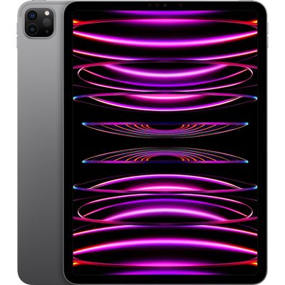iPad Pro 11" (2022) 1 TB Wi-Fi Tablet-pc