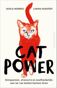 Cat Power (Hardback)