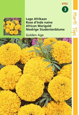 Tagetes Erecta Nana Golden Age - Hortitops