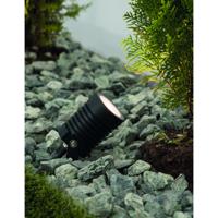 Lyora PrikspotStake zwart 45cm - 9271492