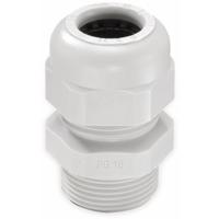 Wiska 10066402 Wartel PG11 Polyamide Lichtgrijs 1 stuk(s)