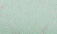 Vanilla Lime Vanilla Lime Fotobehang Copper Blast - 014133