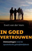 In goed vertrouwen (Paperback)