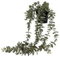 HEMA Kunstplant Eucalyptus (groen) - thumbnail