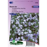 Linum Perenne zaden vlas blauw - thumbnail