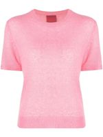 Cashmere In Love haut Sidley en maille fine - Rose