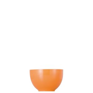 THOMAS - Sunny Day Orange - Muesli-schaaltje 12cm 0,45l