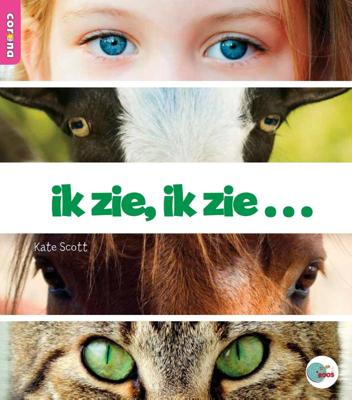 ik zie, ik zie (Paperback)