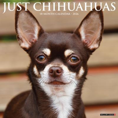 Chihuahua Kalender 2026
