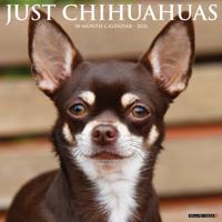 Chihuahua Kalender 2026