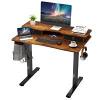 In Hoogte Verstelbaar Elektrisch Computerbureau Staand Bureau met Monitorstandaard 100 x 60 cm Bruin