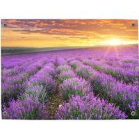 Tuinposter lavendel 1 - Pillow Buddies