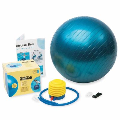 Therapiebal | 65 cm | Verkrijgbaar in diverse maten | Incl. pomp | Bal voor balanstraining en revalidatieoefeningen | PR15202