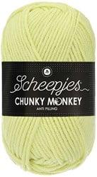 Scheepjes Chunky Monkey 1020 Mint