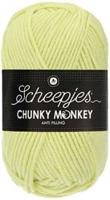 Scheepjes Chunky Monkey 1020 Mint