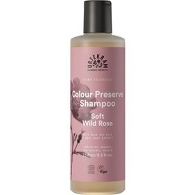 Soft Wild Rose