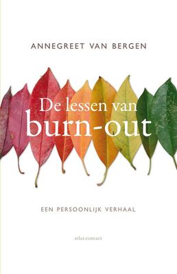 De lessen van burn-out - Annegreet van Bergen - ebook