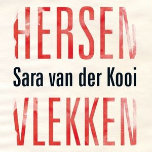 Hersenvlekken