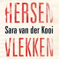 Hersenvlekken - thumbnail