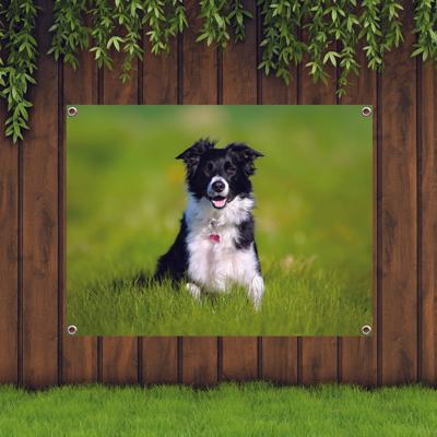 Tuinposter met Eigen Foto - Pillow Buddies