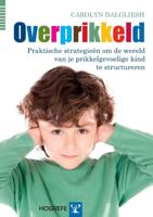 Overprikkeld - Relaties & Persoonlijke ontwikkeling - Spiritueelboek.nl