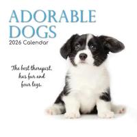 Adorable Dogs Kalender 2026
