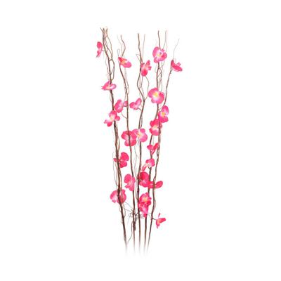 Decoratieve plant