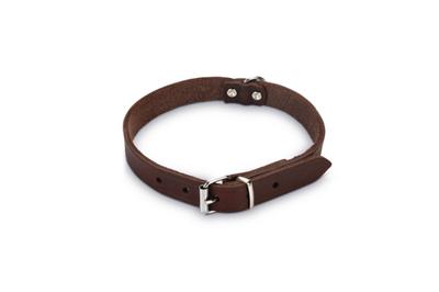 Beeztees Beeztees Halsband Hond Leer Bruin 37,5-46,5 cm x 20mm