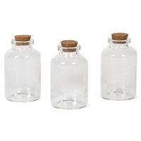 3x Kleine transparante glazen flesjes met kurken dop 30 ml   -