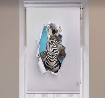 Dieren rolgordijnen Zebra