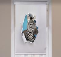 Dieren rolgordijnen Zebra