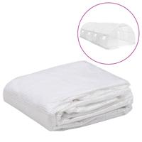 VidaXL Kashoes vervangend (18 m²) 3x6x2 m transparant