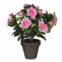 Mica Decorations Kunstplant - Azalea - groen/lichtroze - 27 cm - Met mooie bloemen