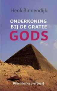 Onderkoning bij de gratie Gods - Henk Binnendijk - ebook
