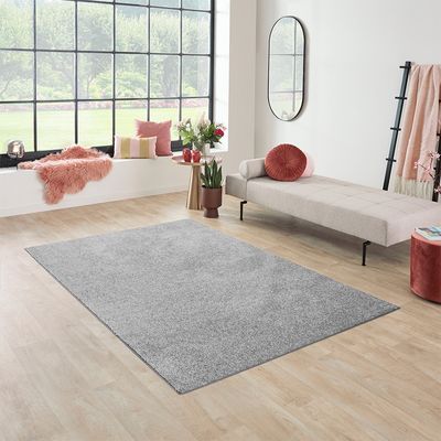 Olive Vloerkleed Santa Fe - Lichtgrijs 160 x 230 cm Olive Vloerkleed Santa Fe - Lichtgrijs 160 x 230 cm