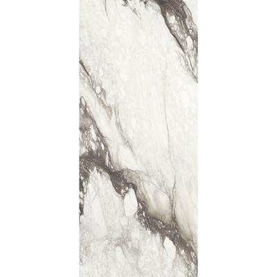 Douglas & Jones Vloertegel 120x280 cm Magnum Glans Renoir - Vloertegel 120x280 cm Magnum Glans Renoir (prijs Per Tegel)